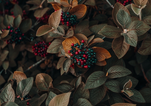 Lorem Ipsum is simply dummy text of the printing and typesetting industry.